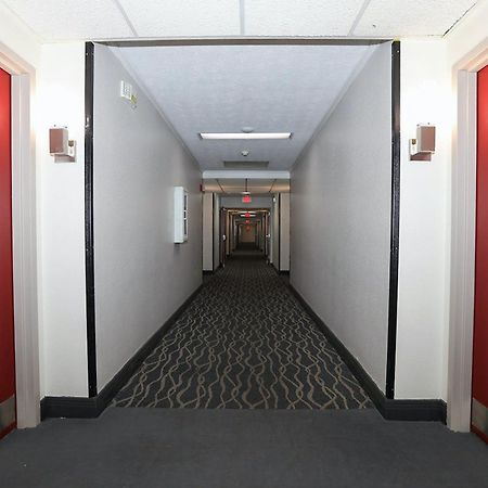 Red Roof Inn & Suites Lexington - Hamburg Extérieur photo
